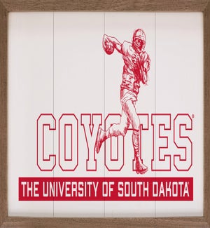Vintage Football University Of South Dakota